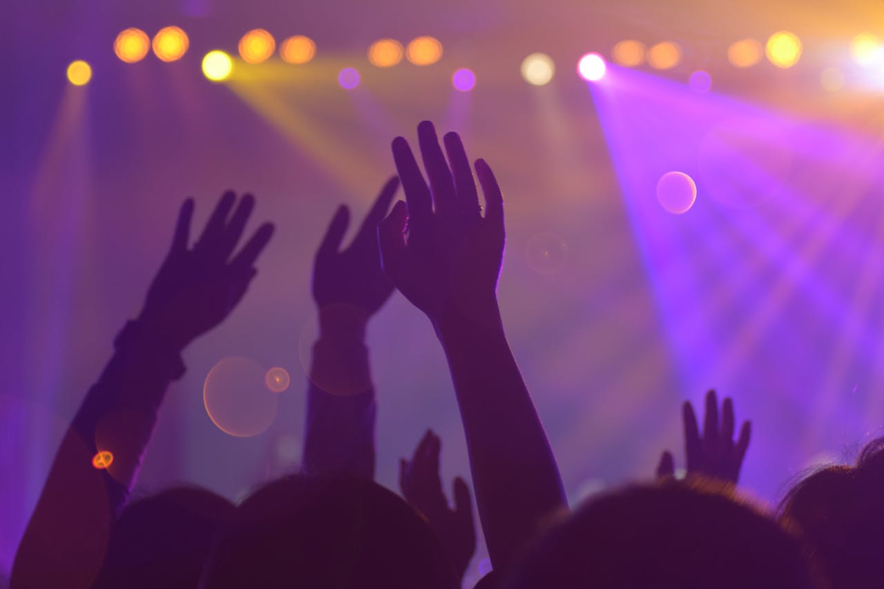 about-01 Silhouettes of a lively audience with raised hands at an energetic nightclub event.